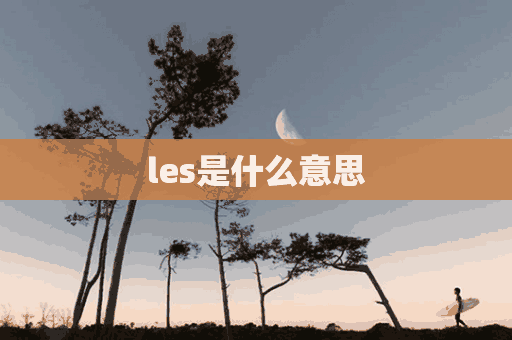 les是什么意思(lesson是什么意思)